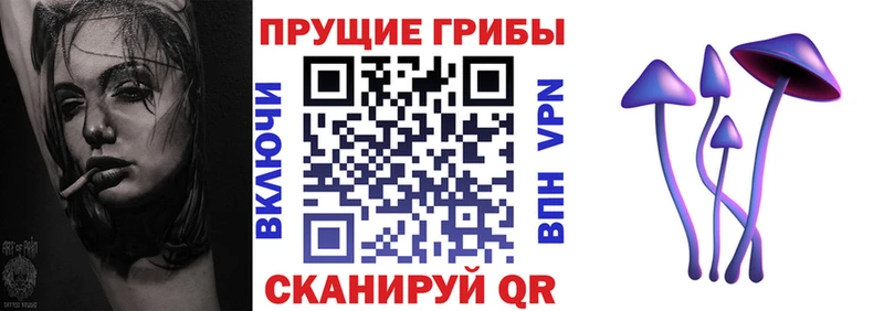 Галлюциногенные грибы Cubensis  Шумиха 